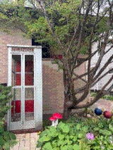 The silver booth beneath a garden tree at 209 Corry Street